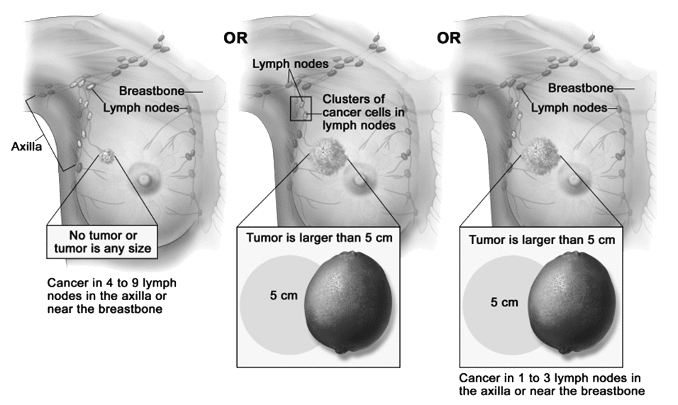 guide image