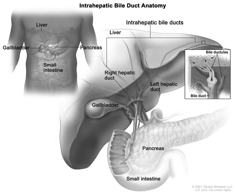 guide image